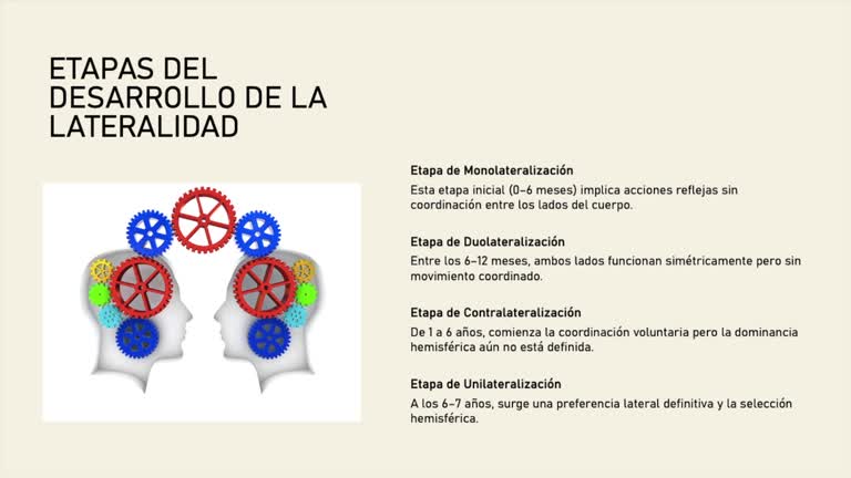 1774626552464_2_2_Lateralidad_mp4