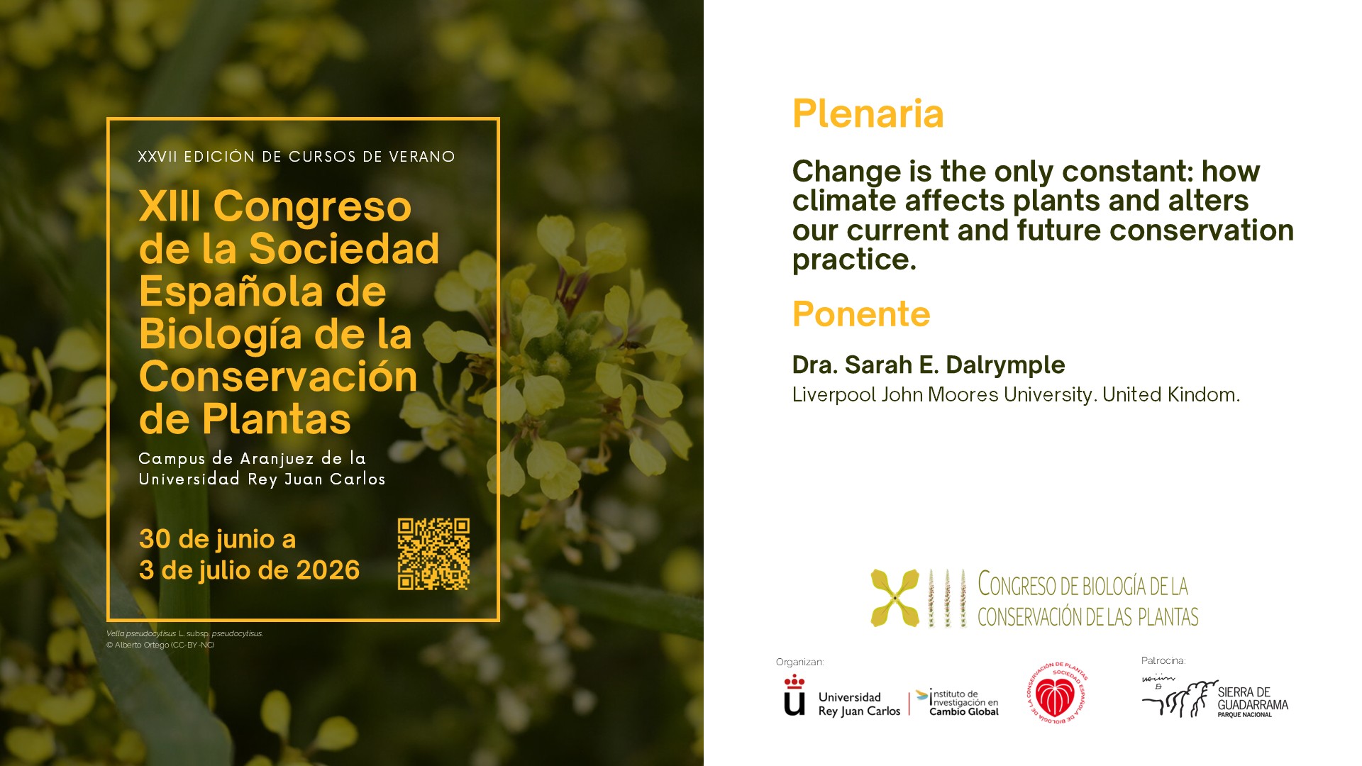 Conferencia Plenaria Internacional – Sarah Dalrymple