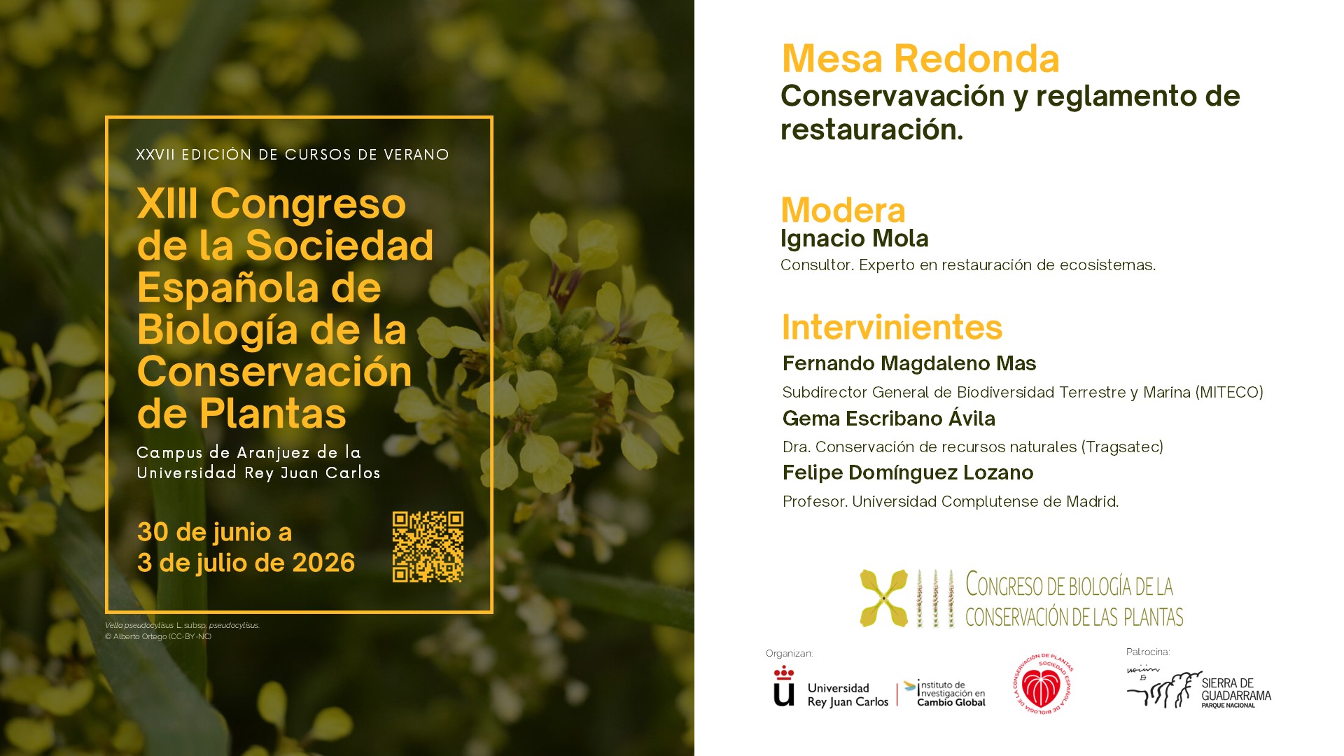 Mesa Redonda - Conservación y Reglamento Restauración